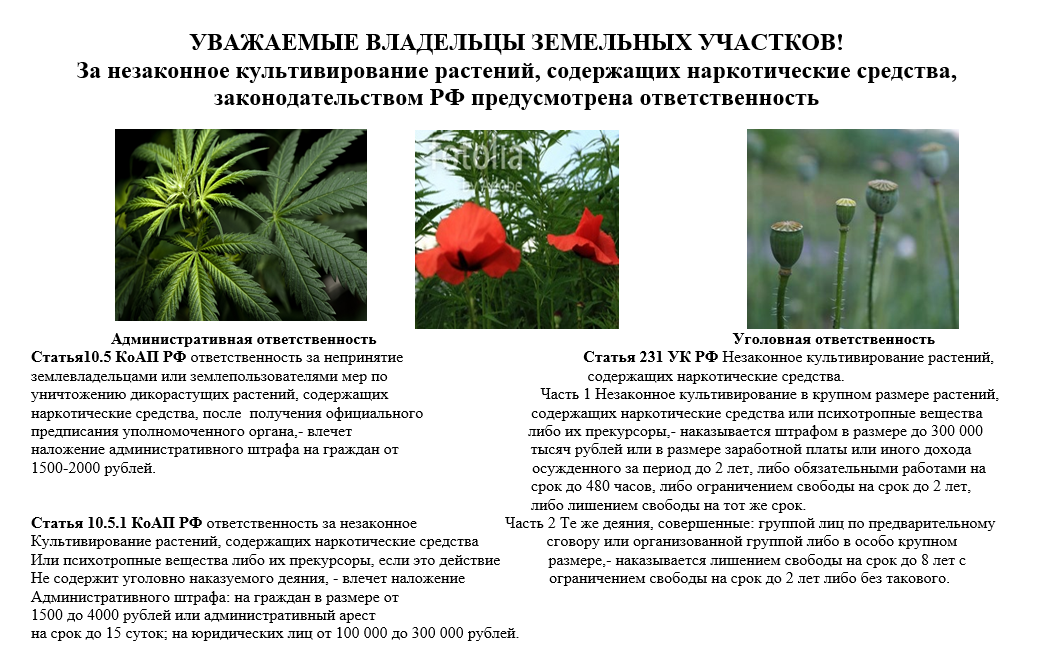 Памятка для населения.
